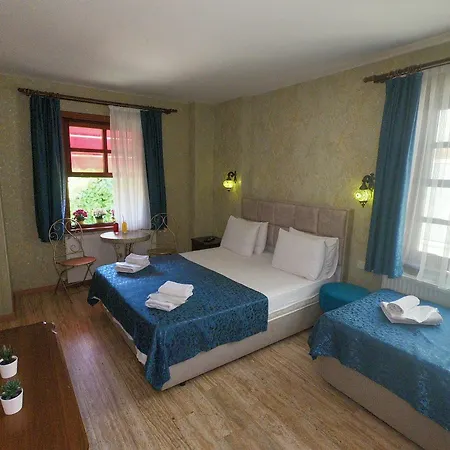 Homestay Doruk