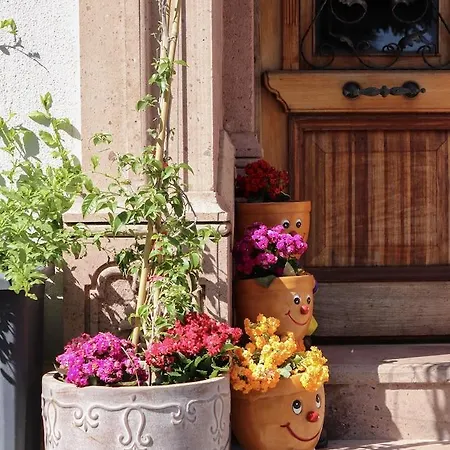 Homestay Doruk Ayvalik
