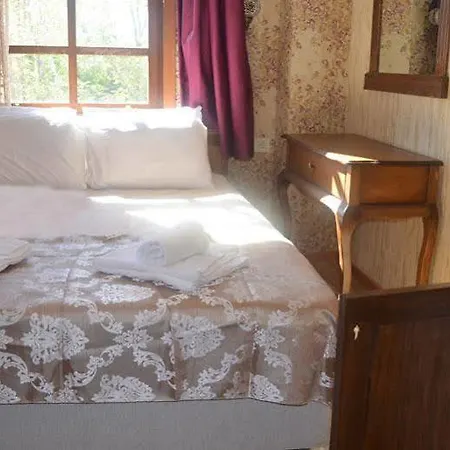 Doruk Homestay *